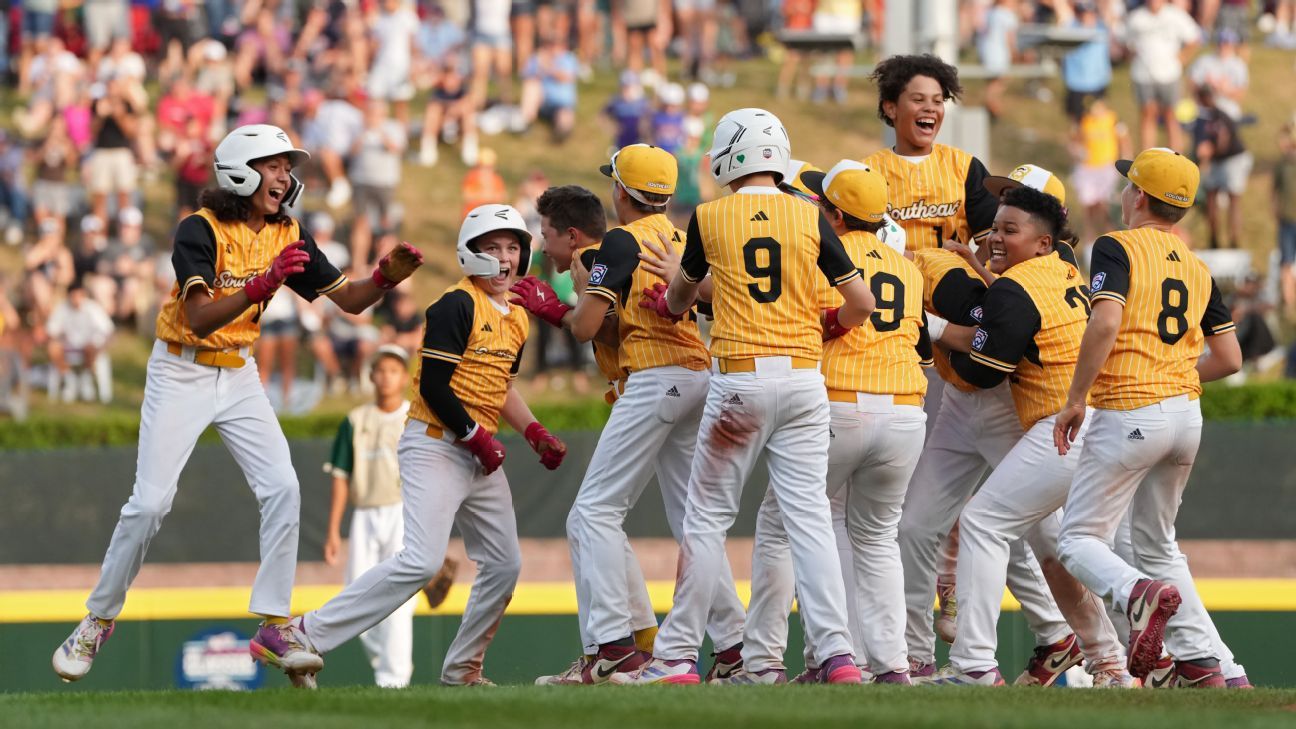 國內轉會窗 國內轉會窗