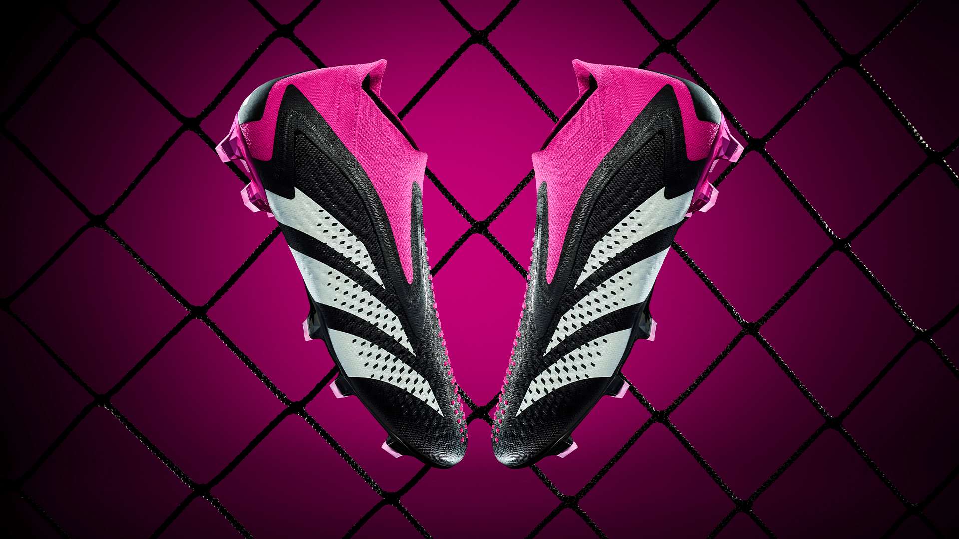 球场上的多 球场上的多